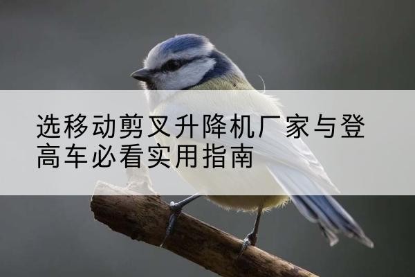 大丰电动升降机厂家-选移动剪叉升降机厂家与登高车必看实用指南