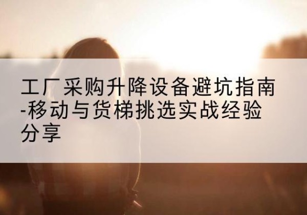 大丰移动式升降机怎么选-工厂采购升降设备避坑指南-移动与货梯挑选实战经验分享