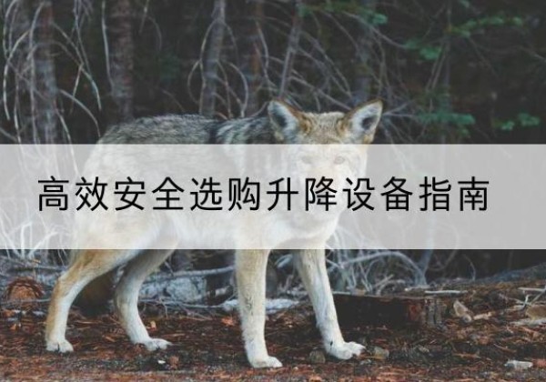 大丰升降货梯厂家推荐-*安全选购升降设备指南