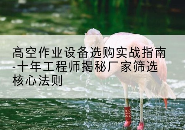 大丰剪叉式升降机厂家-高空作业设备选购实战指南-十年工程师揭秘厂家筛选核心法则